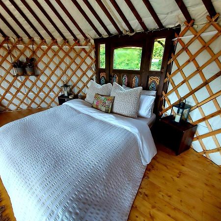The Kites Rest At Castle Creavie Farm Hotel Kirkcudbright Luaran gambar
